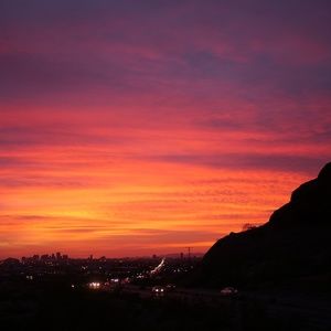 Meet your Posher, Audrey